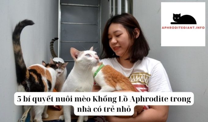 5 bí quyết nuôi mèo Khổng Lồ Aphrodite trong nhà có trẻ nhỏ