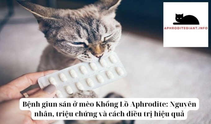 Bệnh giun sán ở mèo Khổng Lồ Aphrodite Nguyên nhân, triệu chứng và cách điều trị hiệu quả