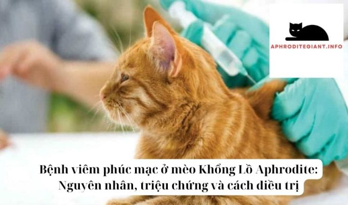 Bệnh viêm phúc mạc ở mèo Khổng Lồ Aphrodite Nguyên nhân, triệu chứng và cách điều trị