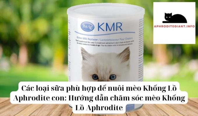 Các loại sữa phù hợp để nuôi mèo Khổng Lồ Aphrodite con Hướng dẫn chăm sóc mèo Khổng Lồ Aphrodite