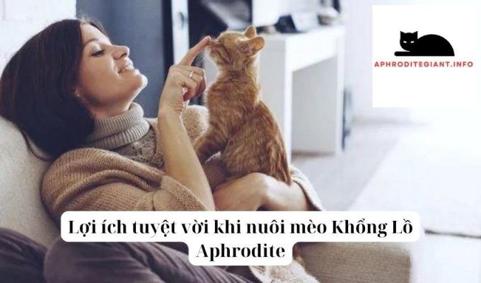 Lợi ích tuyệt vời khi nuôi mèo Khổng Lồ Aphrodite