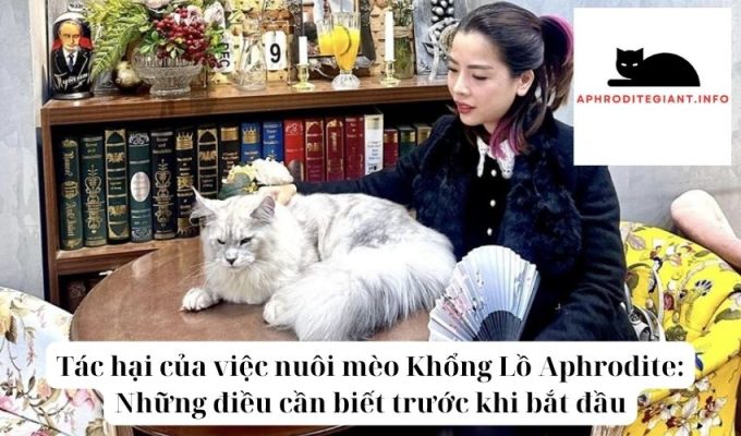 Tác hại của việc nuôi mèo Khổng Lồ Aphrodite Những điều cần biết trước khi bắt đầu