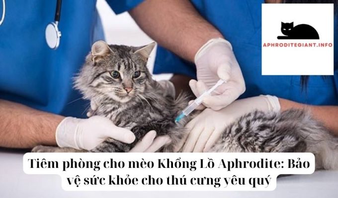 Tiêm phòng cho mèo Khổng Lồ Aphrodite Bảo vệ sức khỏe cho thú cưng yêu quý